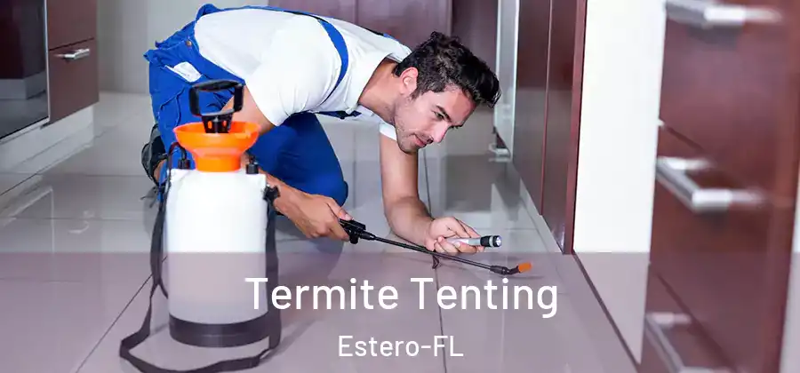 Termite Tenting Estero-FL