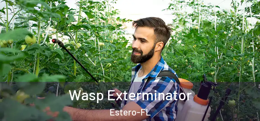  Wasp Exterminator Estero-FL