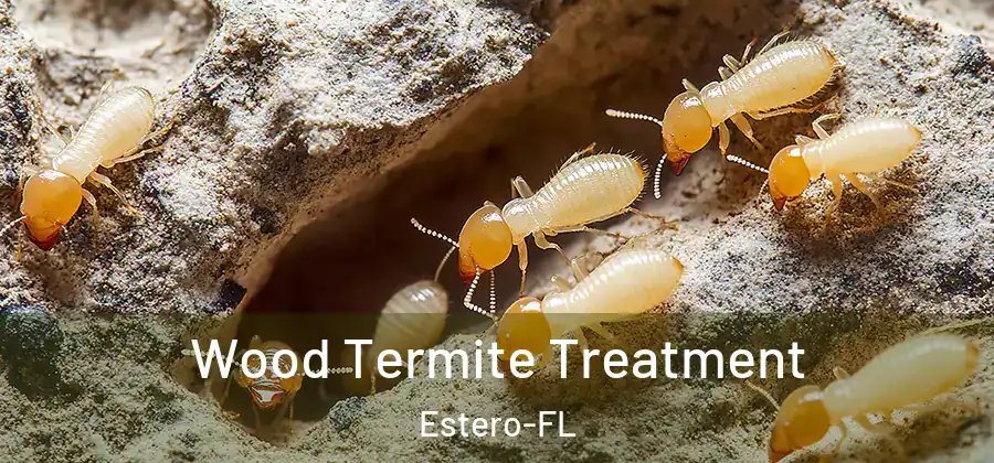 Wood Termite Treatment Estero-FL