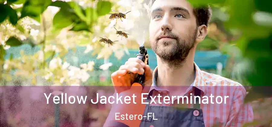 Yellow Jacket Exterminator Estero-FL