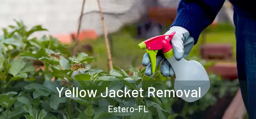 Yellow Jacket Removal Estero-FL